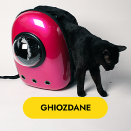 Ghiozdane/rucsac pentru pisici